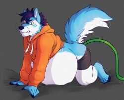 all_fours anthro belly belly_expansion belly_inflation belly_on_ground big_belly blue_hair canid canine canis cheek_markings clothing domestic_dog expansion facial_markings green_eyes hair head_markings hoodie husky hybrid inflated_belly inflating inflation inflation_fetish male male_only male_penetrated mammal markings nordic_sled_dog orange_clothing orange_hoodie orange_topwear overweight overweight_anthro overweight_male raised_tail solo spitz tail the-narutoshi topwear tube tube_in_ass underwear white_belly wintie wolf