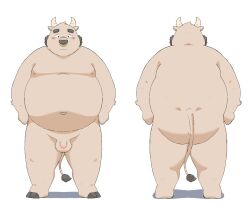 2020s 2023 anthro ass balls belly big_belly blush bovid bovine cattle facial_piercing flaccid genitals ginsingoo1 hi_res kemono male mammal moobs navel nipples nose_piercing nose_ring overweight overweight_male penis piercing ring_piercing small_penis solo