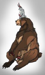 absurd_res anatomically_correct anatomically_correct_genitalia anatomically_correct_penis animal_genitalia animal_penis balls bear big_balls big_penis brown_bear duo erection feral feral_on_feral genitals grizzly_bear hair hi_res kuruk_(character) lagomorph lagomorph_penis leporid male male/male mammal mane mane_hair pawpads paws penis rabbit sephrendemon sheath sitting sitting_on_head size_difference ursine ursine_penis