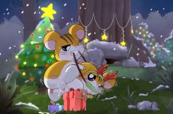 absurd_res ass balls blush bondage bound christmas cricetid duo female female_penetrated feral genitals hamster hamtaro_(series) hi_res holidays male male/female male_penetrating male_penetrating_female mammal one_eye_closed penetration penile penile_penetration penis_in_pussy rodent sandy_(hamtaro) sex stan_(hamtaro) thewizardstick vaginal_penetration white_body yellow_body