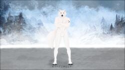 absurd_res aethelwulf animal_genitalia arctic_wolf athletic athletic_male balls canid canine canis full full-length_portrait fully_sheathed fur genitals hi_res male mammal manly model_sheet muscular muscular_male nude portrait sheath solo white_body white_fur wolf