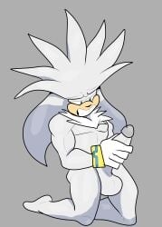 1boy commission commission_art commissions_open male_focus male_only masturbating masturbation on_knees penis penis_in_hand sega silver_the_hedgehog solo_male sonic_(series) sonic_the_hedgehog_(series) susknuckles