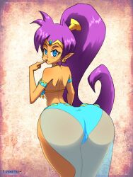 shantae (character) from shantae by layerth