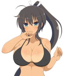 1girls ahoge black_hair blue_eyes bra cleavage female front_view hair_between_eyes homura_(senran_kagura) huge_breasts ichiryuu_tsumiki light-skinned_female light_skin looking_at_viewer nipples_visible_through_clothing ponytail senran_kagura simple_background solo standing tan_body tanline very_long_hair white_background