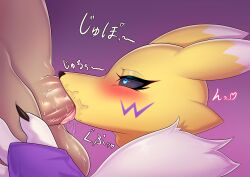 absurd_res anthro asutatinn61 balls bandai_namco black_sclera blush canid canine digimon digimon_(species) erection fellatio female fur genitals hi_res human interspecies male male/female mammal nude oral penile penis renamon sex white_body white_fur yellow_body