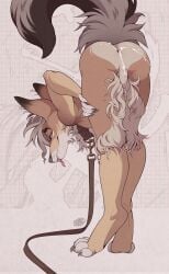 2026 abstract_background absurd_res anthro anus artist_name backsack balls bent_over_with_legs_held_straight bodily_fluids butt canid canine canis claws collar coyote cum cum_on_butt digital_media_(artwork) digitigrade finger_claws fluffy fluffy_tail fur genital_fluids genitals hair hi_res leash leashed_collar looking_at_viewer looking_back looking_back_at_viewer male mammal nude nude_anthro nude_male paws pointy_ears presenting presenting_hindquarters prick_ears raised_tail rear_view snaggle_tooth solo tail tan_body tan_fur terribleanimal text toe_claws tongue tongue_out
