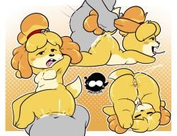 1boy 1girls 2026 2d animal_crossing anthro anthro_penetrated canine cum cum_in_pussy cum_inside cum_on_body female female_penetrated furry furry_female grey_body hair isabelle_(animal_crossing) looking_at_viewer male male_penetrating naked naked_female naked_male nintendo nude nude_female nude_male penetration pulling_hair pussy sex straight tongue tongue_out unseen_male_face upside-down vagina vaginal_penetration voidsdroids yellow_body yellow_hair