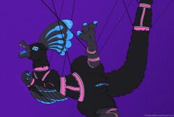 arm_feathers arms_tied black_body black_feathers blue_body blue_claws blue_eyes blue_feathers blue_tongue blue_vulva bodily_fluids bound claws digital_drawing_(artwork) digital_media_(artwork) dinosaur dromaeosaurid feather_hair feathered_dinosaur feathered_scalie feathers female feral genitals grey_body grey_hands grey_legs grey_snout harness held_up hi_res legs_up lumina_(therealmessyroomguy1) open_mouth pink_harness prehistoric_species presenting presenting_vulva pseudo_hair purple_background reptile restrained_arms saliva saliva_string saurischian scalie sharp_teeth sickle_claw simple_background solo spread_legs spreading teeth therealmessyroomguy1 theropod toe_claws tongue vulva watermark
