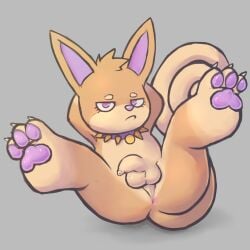 1:1 absurd_res acroposthion anthro anus badipoki biped canid canine canis claws collar domestic_dog foreskin genitals half-closed_eyes hi_res humanoid_genitalia humanoid_penis legs_up male mammal narrowed_eyes pawpads penis presenting presenting_anus solo spiked_collar spikes tempura_(tempura_puppy) toe_claws unimpressed unretracted_foreskin
