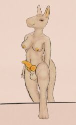 alien animal_genitalia anthro balls big_breasts blush breasts digital_media_(artwork) erection fur genitals hi_res intersex keli_kameks looking_at_viewer mammal navel nipples nude penis simple_background smile solo tail the_nature_of_predators venlil_(the_nature_of_predators)