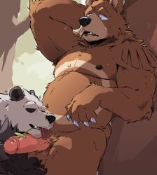 anthro ball_grab balls bear brown_bear brown_body brown_fur digital_media_(artwork) dogflops duo erection forest fur generation_2_pokemon generation_6_pokemon genitals giant_panda grizzly_bear hand_behind_head hi_res holding_balls humanoid_genitalia humanoid_penis leaning male male/male mammal nintendo nipples nude outside outside_sex overweight overweight_male pangoro penis plant pokemon pokemon_(species) sex shy smile tongue tongue_out tree ursaring ursine