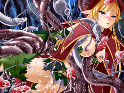 alleyne queen's_blade queen's_blade tagme