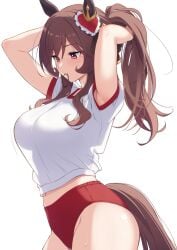 1girl arms_up brown_hair gentildonna_(umamusume) gym_shirt horse_ears horse_girl horse_tail large_breasts long_hair midriff mobukichi navel ponytail red_buruma red_eyes short_sleeves solo sweat umamusume umamusume_pretty_derby white_shirt