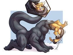 4:3 all_fours anthro black_penis black_teeth black_tongue bodily_fluids cutaway duo erection fangs genitals grey_body hi_res humanoid_genitalia humanoid_penis in_mouth kangaroo long_tongue macropod male male_anthro mammal marsupial muscular muscular_anthro muscular_male nude open_mouth oral_vore penis saliva saliva_on_tongue saliva_string scalie side_view signature simple_background size_difference solaxe_(artist) teeth tongue tongue_out vore