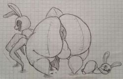 Animal Genitalia Rule 34 Image