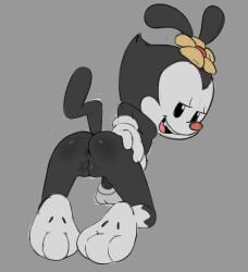 1girls animaniacs anthro anus ass bunguy cub dot_warner female female_only gaturo gloves looking_at_viewer nude open_mouth presenting pussy solo teeth tongue warner_brothers young