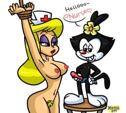 2girls animaniacs anthro_on_human arms_tied_above_head black_fur blonde_female blonde_hair blue_eyes bondage breasts bumpy_dildo bushy_pubes cub dialogue dot_warner ears_as_hair eyeshadow flat_chest flat_chested flower_ornament furry hairy_pussy hello_nurse hourglass_figure human_female light-skinned_female long_ears naked naked_female nipples nude nude_female nurse nurse_cap pussy standing_on_stool strap-on strapon studded_dildo tail transparent_background unshaved_pussy voluptuous voluptuous_female xierra099 yuri