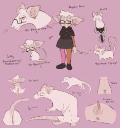 anthro anus big_clitoris clitoris disney fan_character female feral genitals hi_res labbit1337 mammal model_sheet murid murine rat rodent solo straight_hair the_owl_house