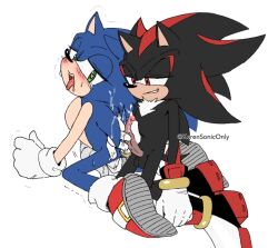 shadow the hedgehog from sonic (series)