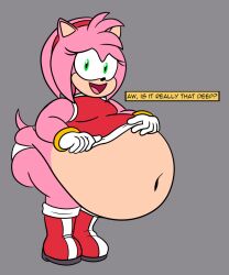 1girls 2023 amy_rose asking_a_question bbw belly belly_button big_belly deep_navel dialogue dress english_text eyelashes fat fat_female female green_eyes hedgehog huge_belly hyper_belly navel obese obese_female panties pink_fur scobionicle99 sega sonic_(series) text thick thick_thighs white_panties