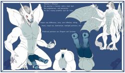 2_penises 4_arms 4_balls 4_eyes 4_wings anthro balls diphallia diphallism dragon elemental_creature elemental_dragon genitals hi_res ice_dragon male membrane_(anatomy) membranous_wings model_sheet multi_arm multi_balls multi_eye multi_genitalia multi_limb multi_penis multi_wing penis solo tagme wings