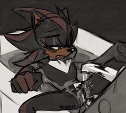 shadow the hedgehog fan art