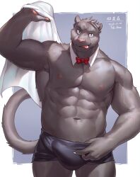 1boy 2023 abs anthro biped blue_eyes boxer_briefs bulge clothed clothing detailed_bulge digital_drawing_(artwork) digital_media_(artwork) felid fur genital_outline grey_body grey_clothing grey_fur grey_underwear hi_res holding_object holding_towel male male_only mammal muscular muscular_anthro muscular_male pantherine pawpads pecs penis_outline pink_nose simple_background solo standing taki_kaze tongue tongue_out towel underwear underwear_only