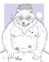 2023 anthro belly blush bodily_fluids canid canine duo hi_res hysk kemono male mammal moobs navel nipples overweight overweight_male raccoon_dog sengoku_puzzle solo_focus sweat tanuki tokugawa_ieyasu