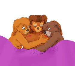 anthro asthexiancal bear disney ezalias female fur furry incest kit_cloudkicker male mammal molly_cunningham nipples rebecca_cunningham straight tagme talespin threesome