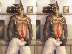 1boy abs absurd_res animal_genitalia animal_penis anthro athletic bonelesswolf bottomwear brand_parody bulge canid canine canine_genitalia canine_penis canis clothing cross_eye_stereogram dobermann domestic_dog erection genitals harness head_tilt hi_res huge_filesize inside knot leather leather_harness looking_at_viewer male mammal muscular nipples pants penis picture_frame pinscher plant_pot pulling_pants_down sheath shelf side_by_side_stereogram smile smiling_at_viewer smirk smirking_at_viewer solo speaker stereogram teeth teeth_showing teeth_visible television television_remote