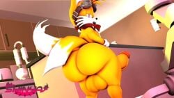 1boy 3d 3d_animation animated anthro ass balls big_ass bouncing_ass bubble_butt dat_ass dumptruck_ass fat_ass femboy fox girly goggles goggles_on_head huge_ass large_ass looking_at_viewer looking_back male male_only no_sound nude nude_male penis sega shinyagaia solo sonic_(series) sonic_the_hedgehog_(series) tagme tails tails_the_fox thick_ass thick_thighs twerking video wide_hips