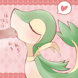 â™¥ blush cum heart kajiura licking male oral penis pokemon pokemon_(species) snivy tongue