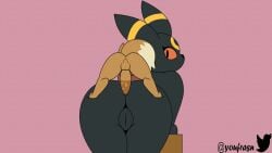 anal anal_sex animated anthro canid canine duo eevee eeveelution felid female feral fox generation_1_pokemon generation_2_pokemon hi_res male male/female mammal nintendo pokemon pokemon_(species) small_dom_big_sub umbreon youfrasn