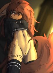 anthro apogee_(tinygaypirate) bottomless canid clothed clothing female genitals hi_res jacket mammal pussy solo tinygaypirate topwear