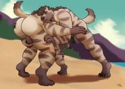 anthro ass backsack balls beach beard brother brothers casual_nudity duo facial_hair father garret_(pickles-hyena) genitals hyena hyena_father_(pickles-hyena) male male/male mammal nude parent penis pickles-hyena seaside sibling striped_hyena uncle