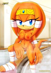 tikal the echidna from sega by bbmbbf