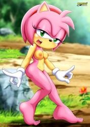 amy rose from sega by bbmbbf
