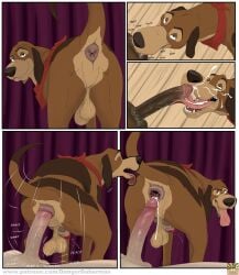 anal anal_sex anus balls canine cash_(fath) cum cum_in_ass dangerdoberman disney fellatio_from_feral feral gaping_anus gay human human_on_feral human_penetrating male male/male male_on_male presenting_anus presenting_hindquarters saggy_balls the_fox_and_the_hound the_fox_and_the_hound_2 yaoi zoophilia