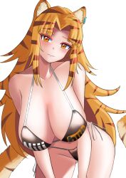 1girls animal_ears animal_tail bare_midriff bare_shoulders belly_button big_breasts bikini blush cleavage collarbone exposed_shoulders exposed_torso female fluffy_ears hi_res highres light-skinned_female light_skin looking_at_viewer midriff nara_haramaung navel nijihub nijisanji nijisanji_indonesia orange_eyes orange_hair pornhub_bra shinkardia smile smiling solo string_bikini striped_hair stripes swimsuit tail tiger_ears tiger_girl tiger_tail virtual_youtuber white_background