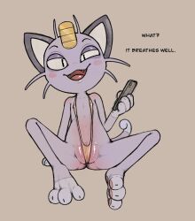 :3 alolan_meowth animal_ears bad_id bad_twitter_id bare_shoulders barefoot black_eyes blush blush_stickers body_fur brown_background cat_boy cat_ears cat_tail catboy cellphone coin collarbone english_text fangs fat_mons feet flat_chest flat_color full_body furry furry_male half-closed_eyes hand_up happy holding holding_phone looking_at_viewer male meowth nipple_slip nipples one-piece_swimsuit open_mouth orange_one-piece_swimsuit partially_visible_vulva pawpads phone pokémon_(species) pokemon purple_fur regional_form_(pokémon) scruffythedeer simple_background sitting slingshot_swimsuit slit_pupils smartphone smile solo spread_legs straight-on swimsuit tail talking toes tongue uneven_eyes whiskers