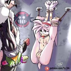 amy_rose anus artist_ta_da bondage clip_studio_paint female furry gag gagged imminent_rape nipples nude patreon patreon_logo patreon_url penis pink_hair pussy sonic_(series) sonic_the_hedgehog_(series) ta_da white_feet