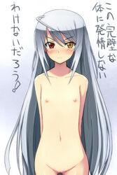 blush breasts color female flat_chest heterochromia infinite_stratos laura_bodewig long_hair navel negija nipples nude pointy_chin pussy silver_hair translated translation_request uncensored very_long_hair