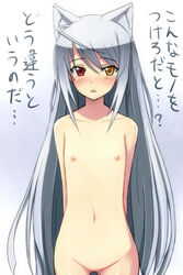 animal_ears beige_skin blush breasts cat_ears color female flat_chest heterochromia infinite_stratos kemonomimi_mode laura_bodewig long_hair navel negija nipples nude pointy_chin pussy silver_hair solo translation_request uncensored very_long_hair