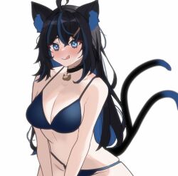 blush bra cat_ears catgirl female navel nott_vt owozu smile tail underwear virtual_youtuber vtuber white_background