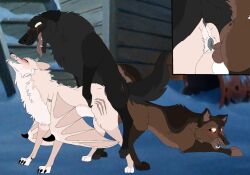 animal_genitalia closeup_view cobalt_(wolgon_howls) dire_(wolgon_howls) everest_(wolgon_howls) feral instagram low_res straight_sex threesome unknown_artist wolf wolgon wolgon_howls