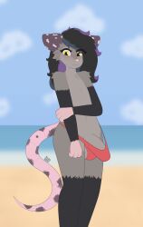 absurd_res anthro balls beach black_hair blue_hair blush clothed clothed/nude clothing cloud didelphid erection erection_under_clothing fur genitals girly grabbing_arm grey_body grey_fur hair hi_res looking_down male mammal marsupial max_draws nervous_smile notde_(oc) nude panties penis purple_hair seaside solo standing underwear virginia_opossum