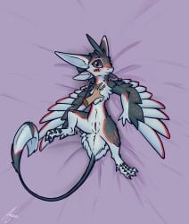 2023 3_fingers 3_toes 4_ears anthro anus ardeo ass avali avali_underfluffies bed belly black_body black_claws black_fur blue_eyes blush cheek_tuft chest_tuft claws digital_media_(artwork) disembodied_hand facial_tuft feathers feet female fingers fluffy fur fur_markings furniture genitals hand_on_chest hi_res looking_at_viewer lying lying_on_bed markings multi_ear on_back on_bed presenting presenting_anus presenting_hindquarters presenting_pussy pussy raised_leg red_markings smile solo solo_focus spread_legs spreading tail teeth toe_claws toe_curl toes tuft white_body white_fur winged_arms wings