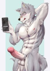 accessory anthro armpit_hair balls band-aid bandage blush body_hair canid canine canis cellphone cock_ring countershade_face countershade_fur countershade_torso countershading erection fur genitals glans grey_body grey_fur hi_res hiei0221 holding_cellphone holding_object holding_phone holding_smartphone humanoid_genitalia humanoid_penis inner_ear_fluff jewelry male mammal nude penis penis_accessory penis_jewelry phone smartphone solo tail tongue tongue_out tuft vein veiny_penis wolf