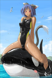 animal_ear blue_hair blush cameltoe murasaki_nyaa nipples nyanko_batake smile swimsuit tail whale