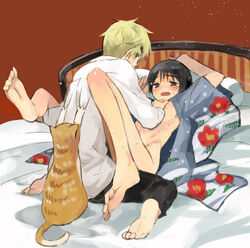 2boys arthur_kirkland artist_request axis_powers_hetalia barefoot blush boy_rape cat darn_cat england_(hetalia) feline femboy forced_yaoi gay girly honda_kiku japan_(hetalia) male male_only malesub open_clothes open_mouth pillow rape tears yaoi